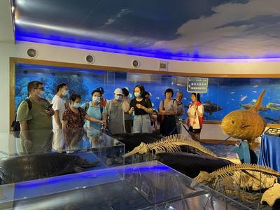 五月廣州科普一日游回顧 漫游神奇自然 感受地質變遷