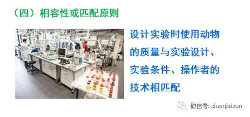 醫(yī)學(xué)SCI臨床科研思路培養(yǎng)及國(guó)家自然科學(xué)基金撰寫 聚焦自然科學(xué)研究和試驗(yàn)發(fā)展